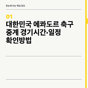 대한민국 에콰도르 축구 중계 경기시간·일정 확인방법