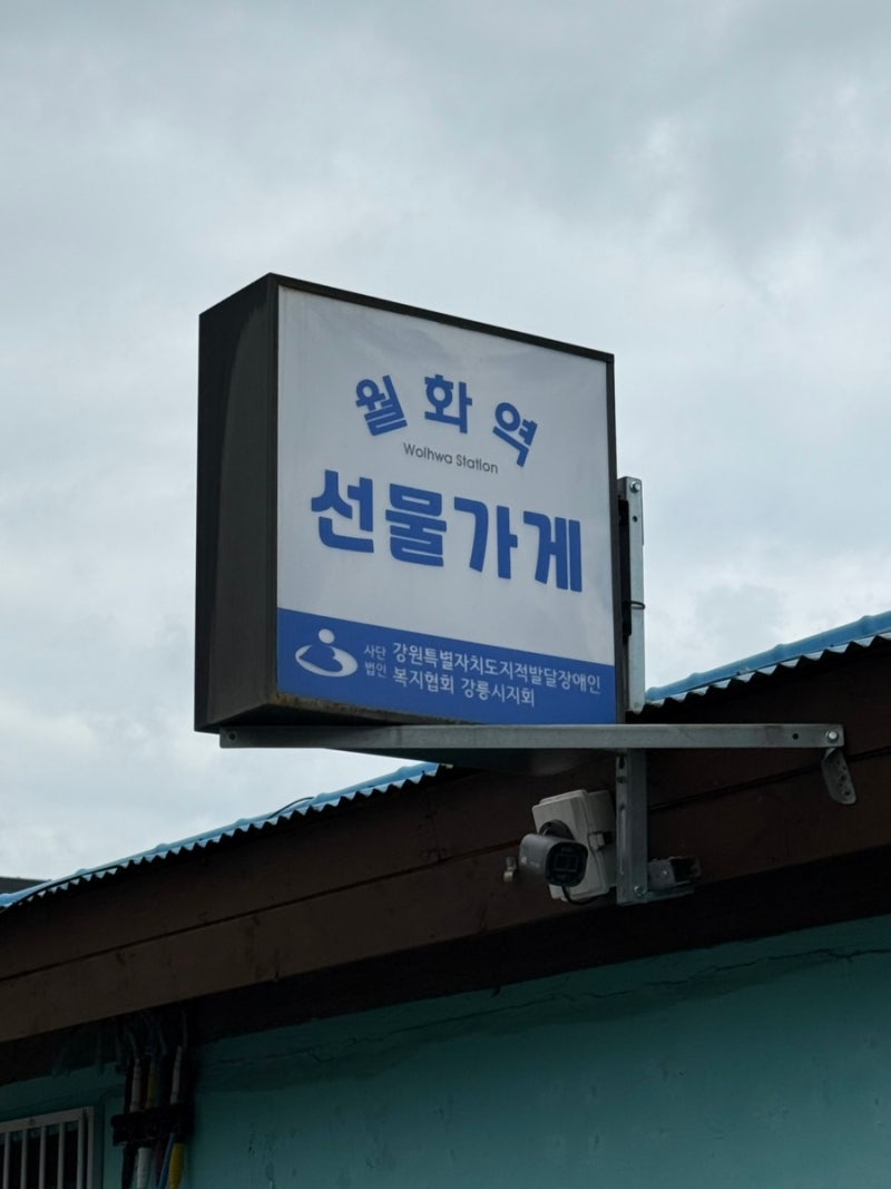 강릉 소품샵 투어 | 월화선물가게 그리다유리알유희 월화역 3곳 비교후기