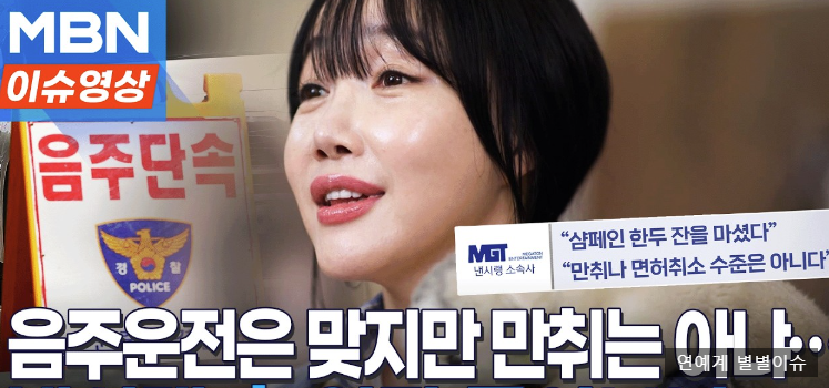 낸시랭 음주운전 결국 경찰 입건…면허취소 수준, 나이·재산·인스타·근황