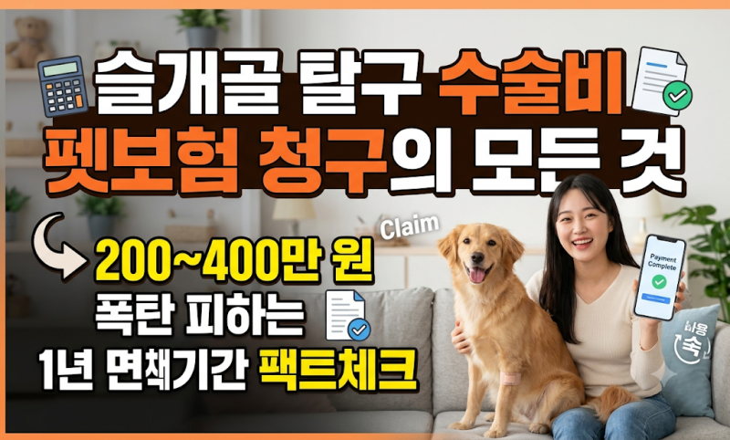 슬개골 탈구 수술비 및 펫보험 청구 인정 기준 면책기간 총정리