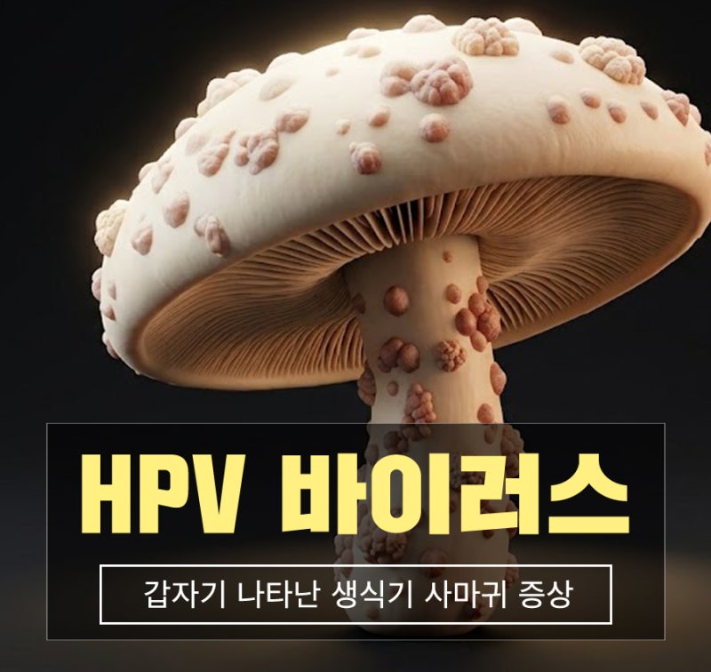 생식기사마귀 생긴게 성병? HPV바이러스치료 및 예방접종 하면