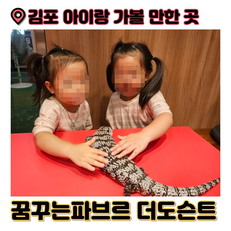 김포 농촌투어패스 4살 5살 아이랑 갈만한 곳 '꿈꾸는파브르 더도슨트' 곤충 유충 생명체험