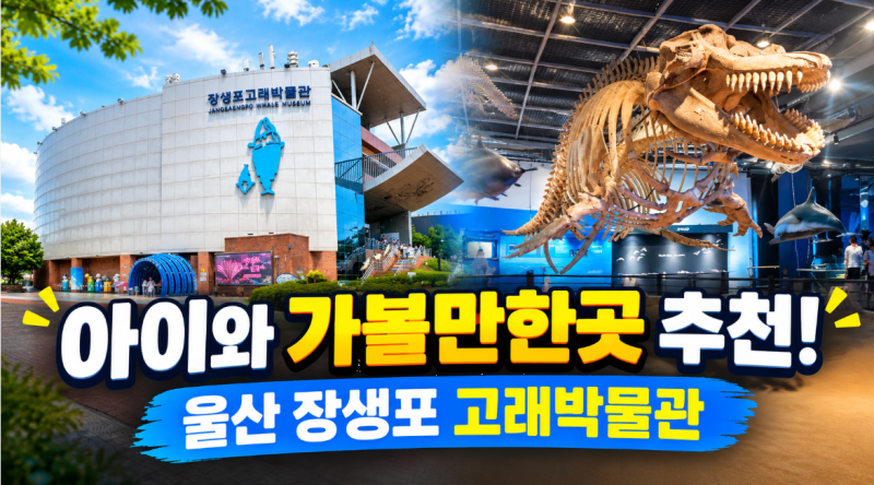 아이와 가볼만한곳 추천! 울산 장생포 고래박물관 층별 핵심 볼거리와 방문 후기
