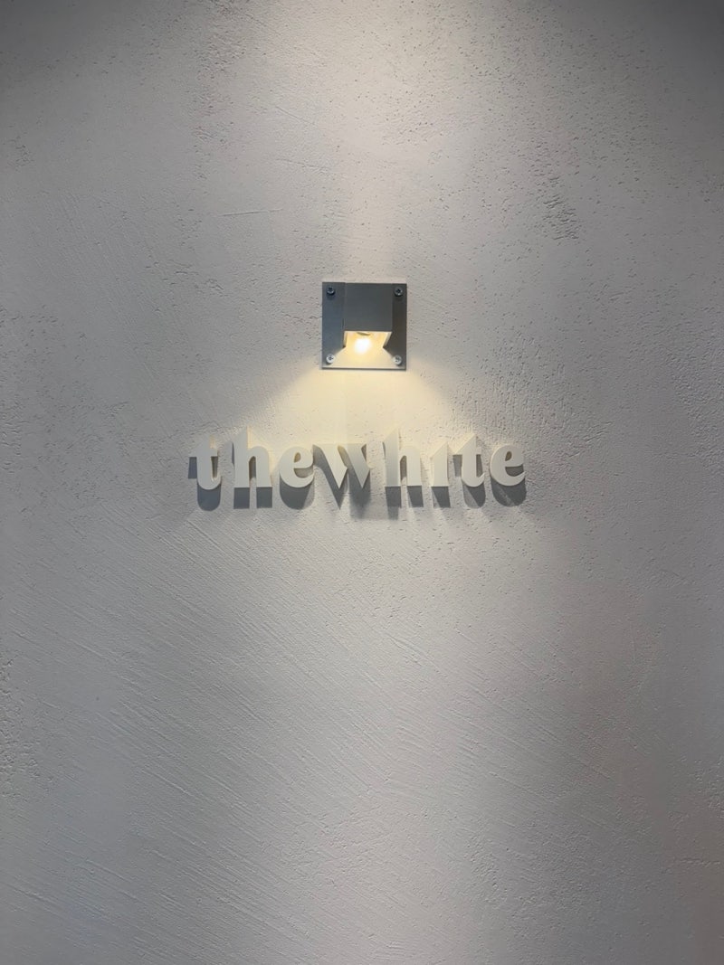 ♡W5_웨딩드레스 투어 │ 클라라웨딩·브라이덜소노·더화이트엘리자베스 드레스투어 후기