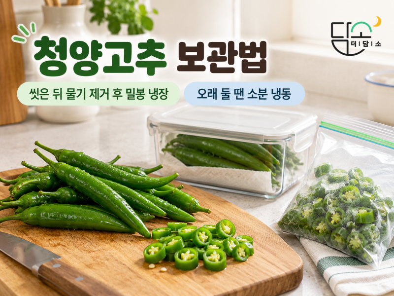 청양고추 보관법, 씻어서 냉동해도 될까? 냉장·냉동 오래 보관하는 방법