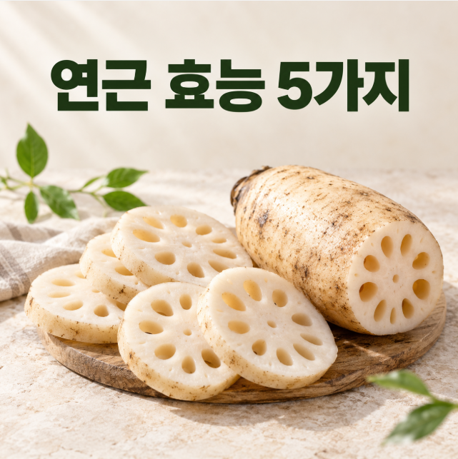 연근 효능 5가지, 매일 먹기 전 부작용과 먹는 법까지