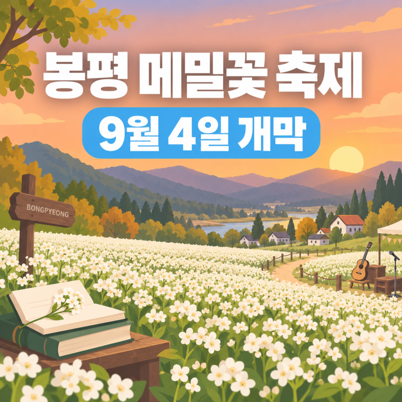 봉평 메밀꽃 축제 2026｜효석문화제 일정·맛집·주변 볼거리 총정리