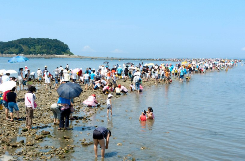 충남 보령 무창포해수욕장 물때 숙소 신비의바닷길 축제 : 갈라진 바다 위를 걸어 석대도에 ....