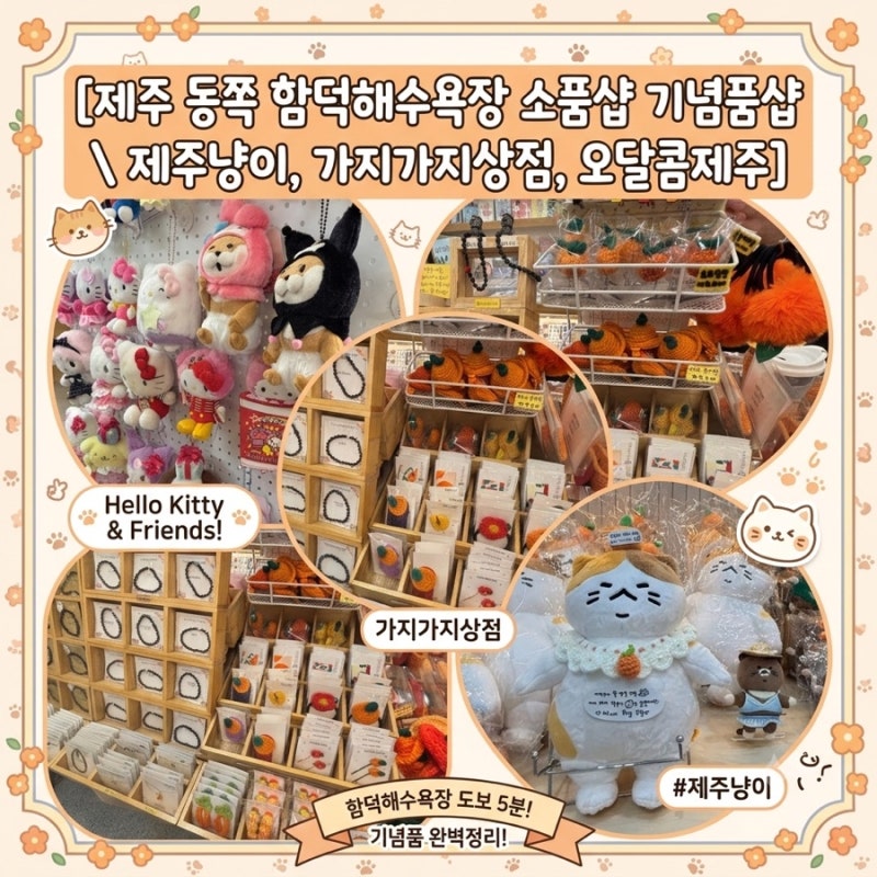 제주 동쪽 함덕해수욕장 소품샵 기념품 제주냥이 가지가지상점 오달콤제주