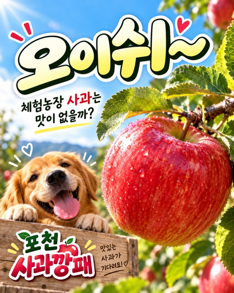 체험농장 사과는 맛이 없을까? 포천 사과깡패는 제철 사과로 체험합니다