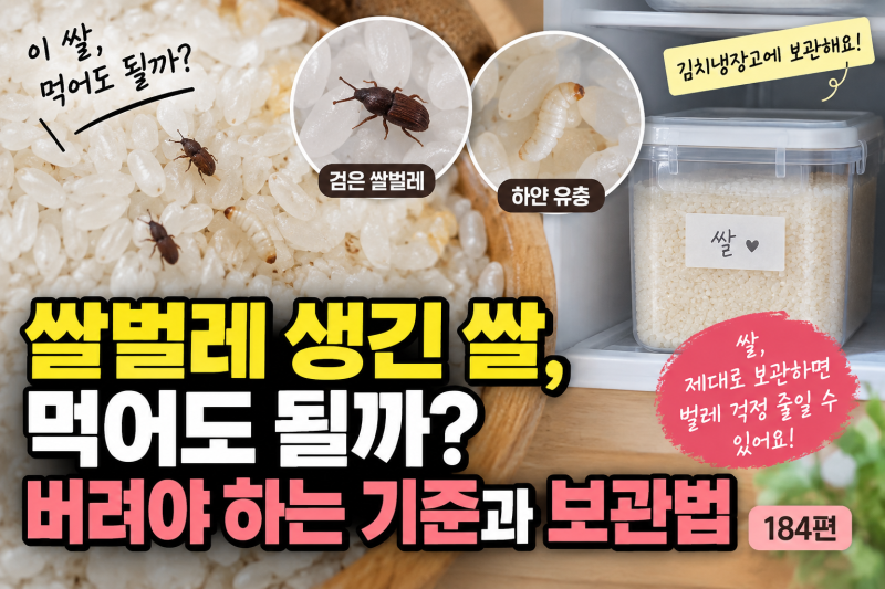 쌀벌레 생긴 쌀, 먹어도 될까? 버려야 하는 기준과 보관법 / 184편