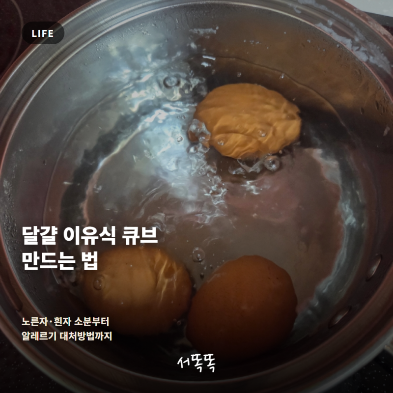 초기 이유식 달걀 큐브 만드는 방법(feat.달걀 테스트 알레르기 대처방법)