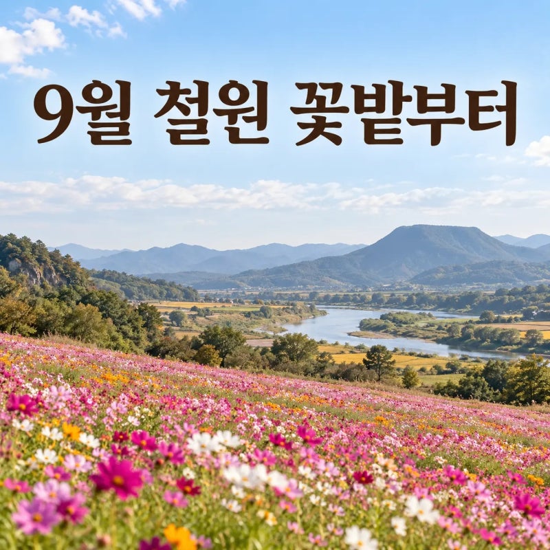 철원 가볼 만한 곳 4곳, 9월엔 고석정 꽃밭부터 이 순서로