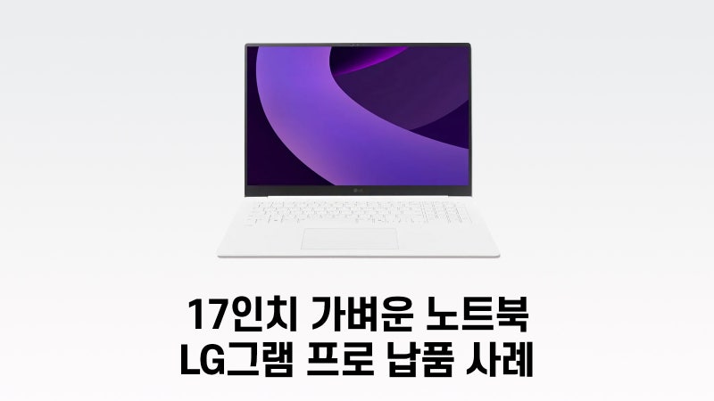 LG그램 프로 17인치 RTX5050 노트북 납품사례 : 개발팀 사무용 노트북 노후화 일괄 교체 견적