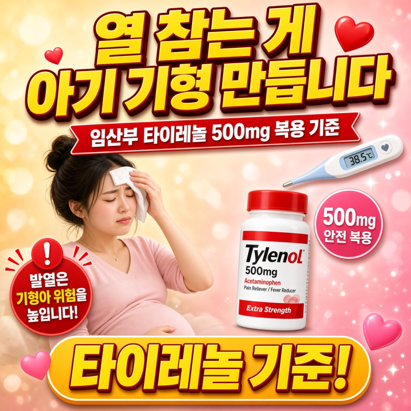 열 참는 게 아기 기형 만듭니다: 임산부 타이레놀 500mg 복용 기준