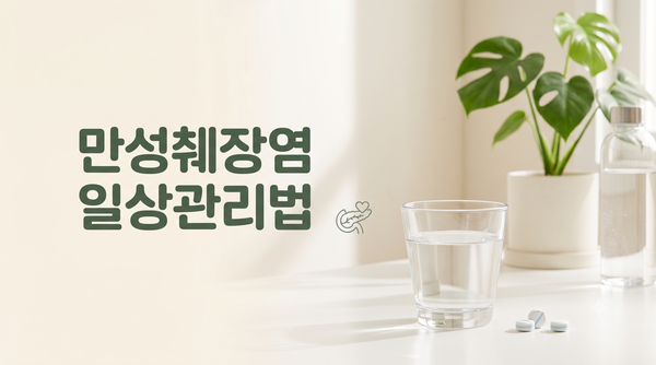 [몸도 챙기는 라이프 노트] 만성췌장염 7년 차가 전하는 현실적인 일상 관리법