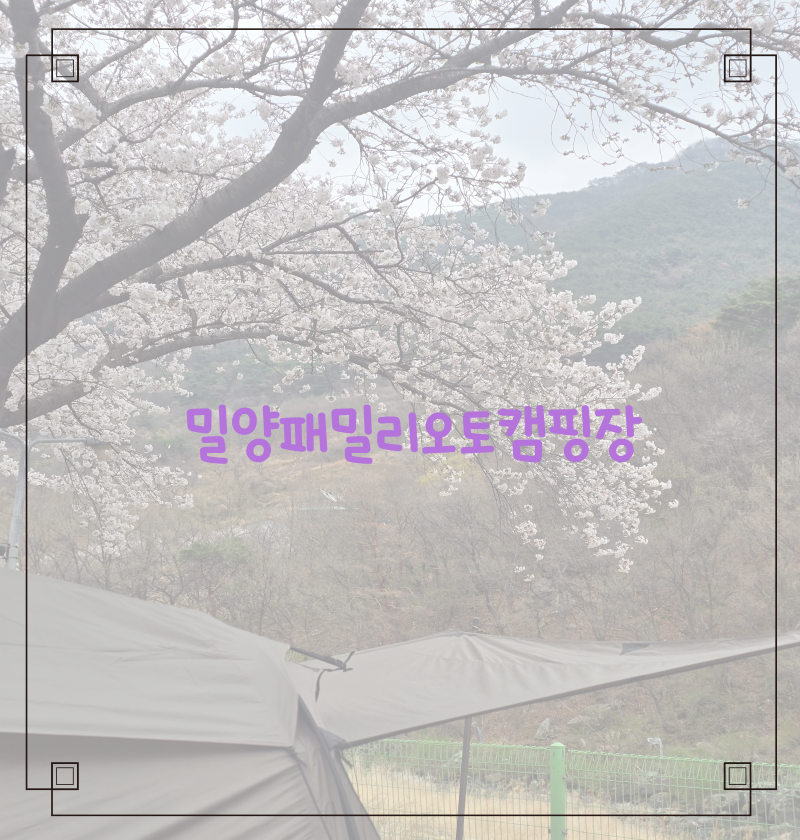 경남 밀양 패밀리 오토캠핑장 애견동반 벚꽃캠핑 다녀온 후기
