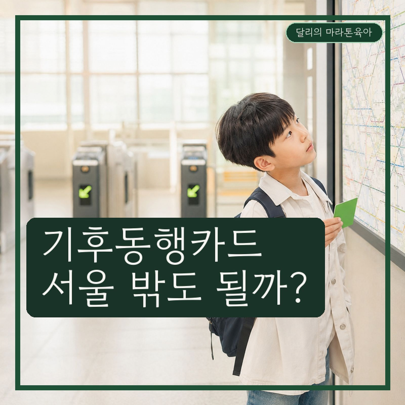 기후동행카드 사용구간 어디까지? 서울·경기 지하철 버스 이용범위 정리