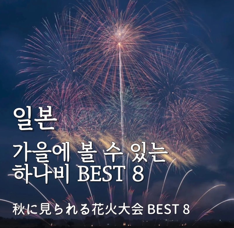 일본 가을에 볼 수 있는 하나비 BEST 8 | 9월 10월 일본 불꽃축제