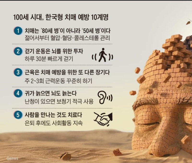 치매 원인과 예방법, 치료법 총정리 : 아밀로이드 신약부터 예방 수칙까지 (2026년 기준)