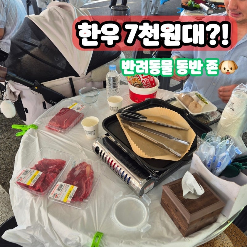泰安花地韓牛節後記：韓牛只要7千韓元？！ | 與狗狗一起現烤現吃