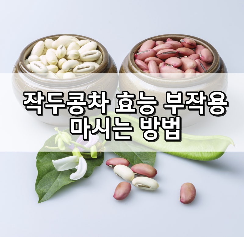 작두콩차 효능 5가지/비염 효과, 부작용, 마시는 방법까지