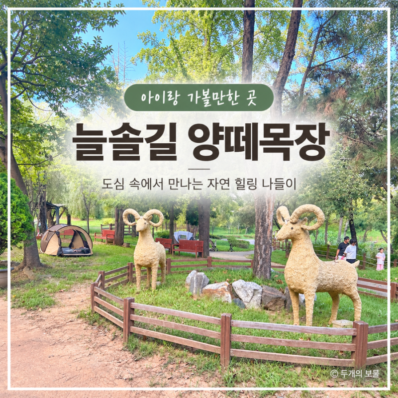 인천 아이와 가볼만한곳 무료 나들이, 늘솔길공원 양떼목장