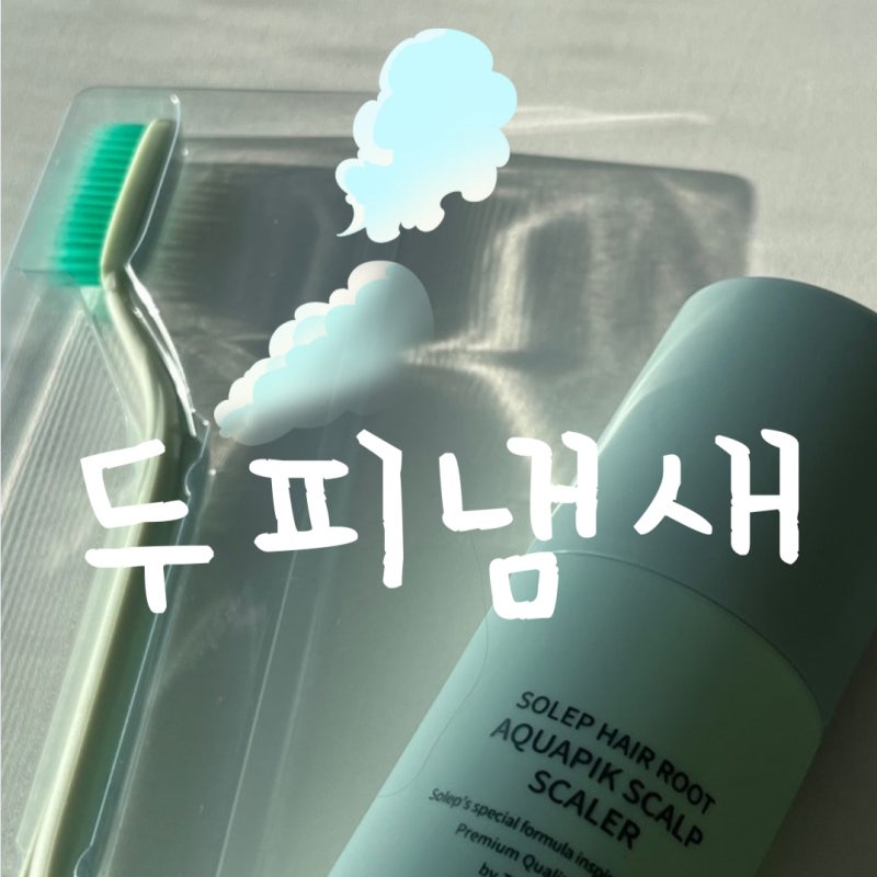 올리브영 솔랩 헤어루트 아쿠아픽 두피 스케일러 후기 & 사용법 (두피 청량감 미쳤음)