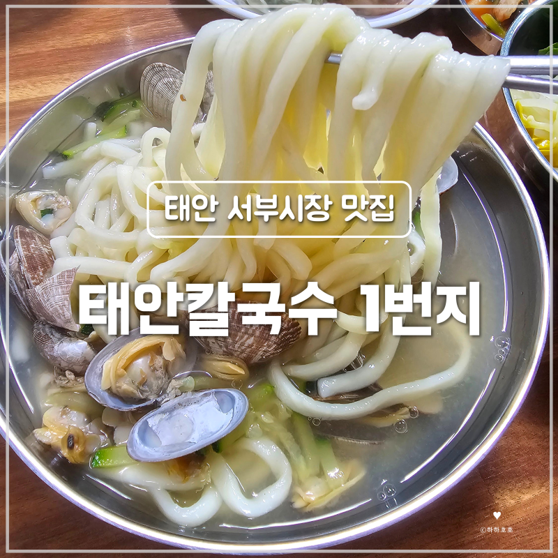 [태안 맛집] 현지인이 추천하는 태안 서부시장 바지락칼국수 맛집 | 태안칼국수 1번지