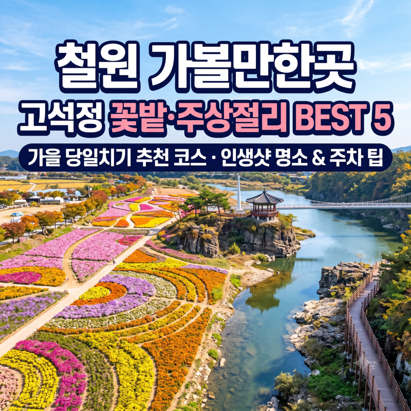 [철원 여행] 철원 가볼만한곳 BEST 5 코스 총정리! 고석정 꽃밭부터 주상절리길까지