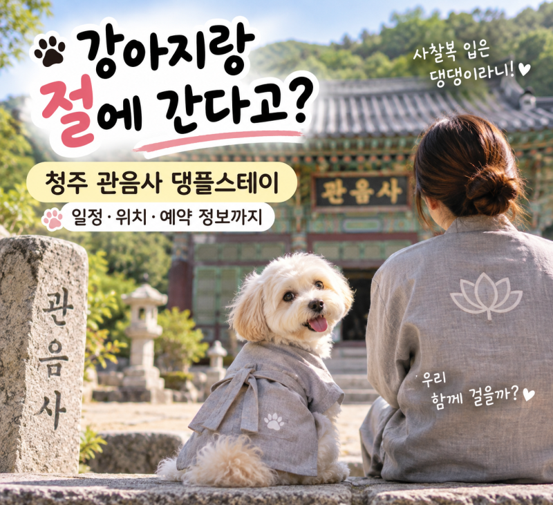 청주 반려견 템플스테이, 9월 놓쳤다면? 관음사 댕플스테이 10월 일정