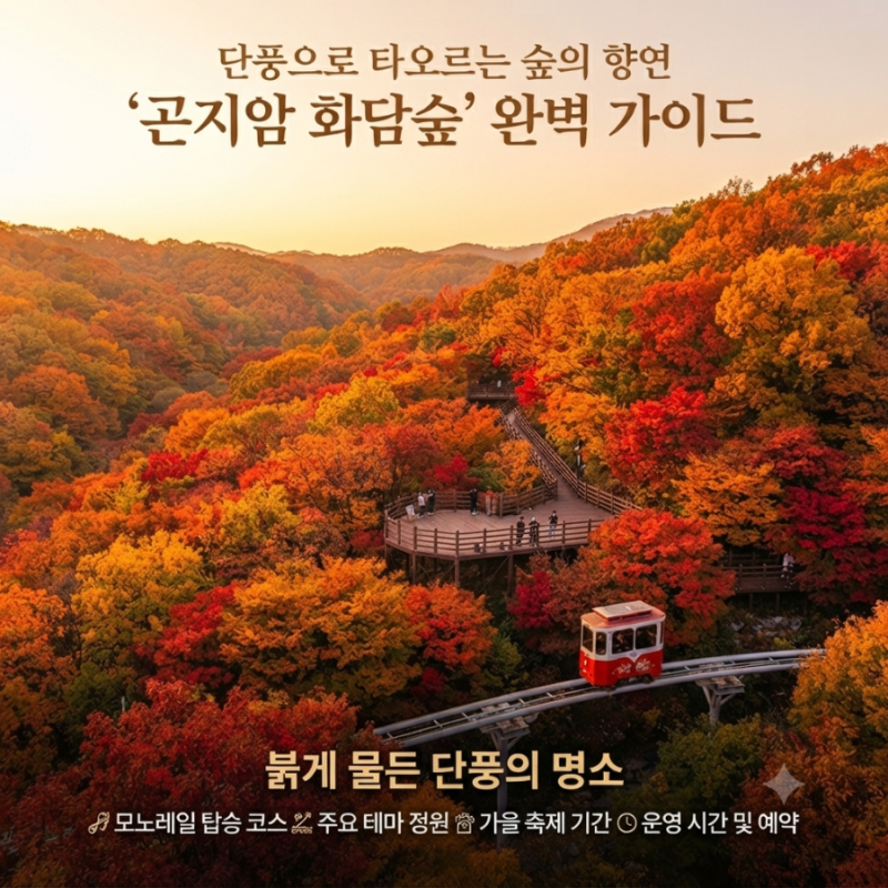 [국내여행/나들이] 붉게 물든 단풍의 명소, 곤지암 '화담숲' 완벽 가이드 (예약 방법·가는 법....