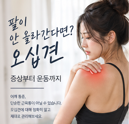 팔이 안 올라간다면? 오십견 증상부터 운동까지 [경북도청 웨이트짐]