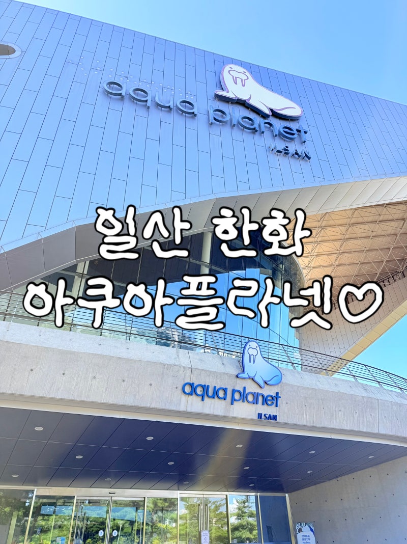 8개월 아기랑 아쿠아리움 한화 아쿠아플라넷 일산✍