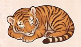 호랑이 꿈 해몽 태몽 상황별 풀이