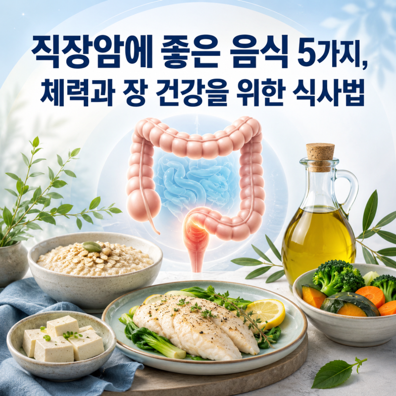 직장암에 좋은 음식 5가지, 체력과 장 건강을 위한 식사법