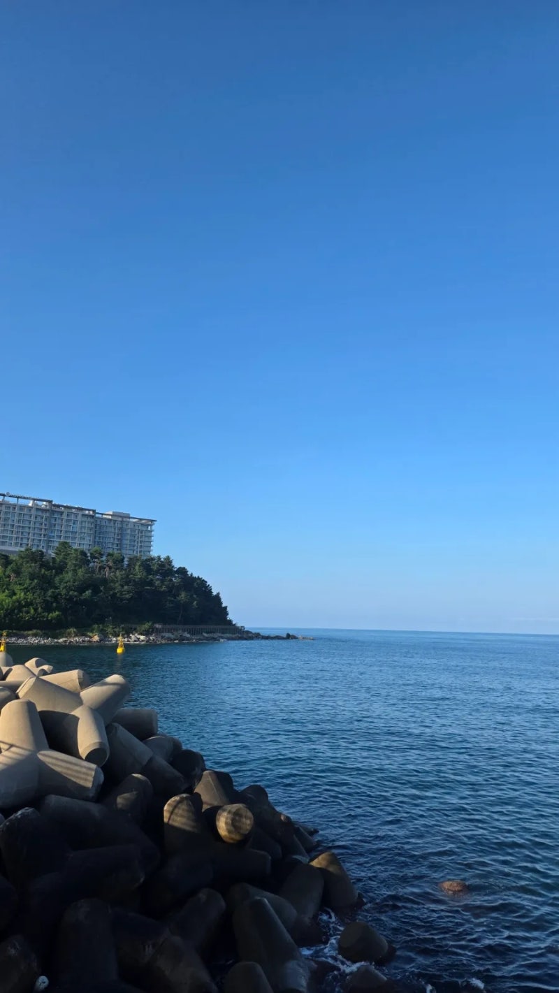 26년도 9 ~ 11월 인천 내 러닝 대회 3개 목표 (송도국제, 정서진 아라뱃길, 인천마라톤)