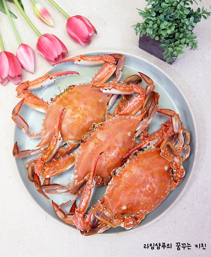 꽃게찌는법 찌는 시간 꽃게찜 하는법 생물 꽃게 손질법 요리