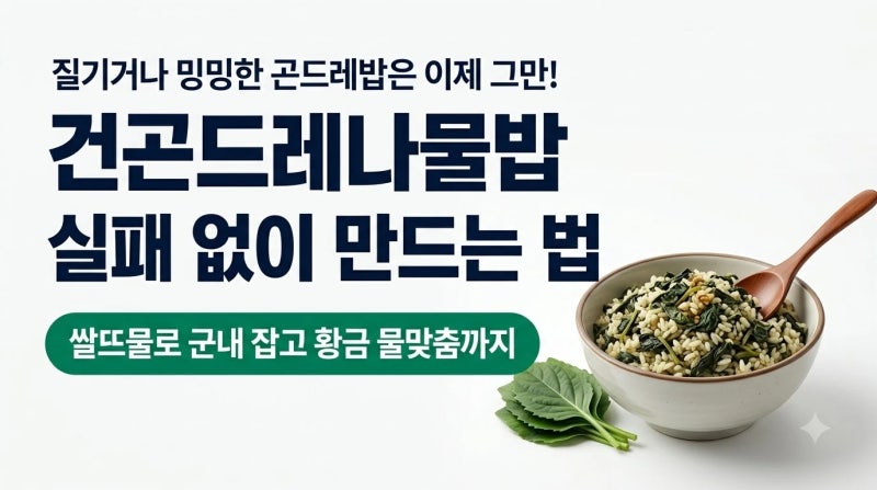 건곤드레나물밥 실패 없이 만드는 법 쌀뜨물로 군내 잡고 황금 물맞춤까지