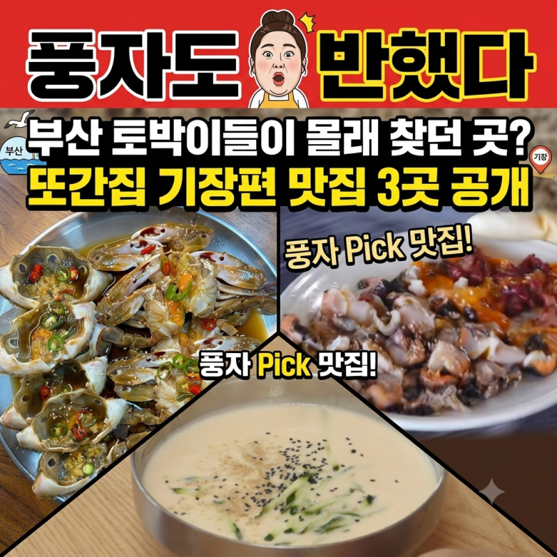“풍자도 반했다” 부산 토박이들이 몰래 찾던 곳? 또간집 기장편 맛집 3곳 공개