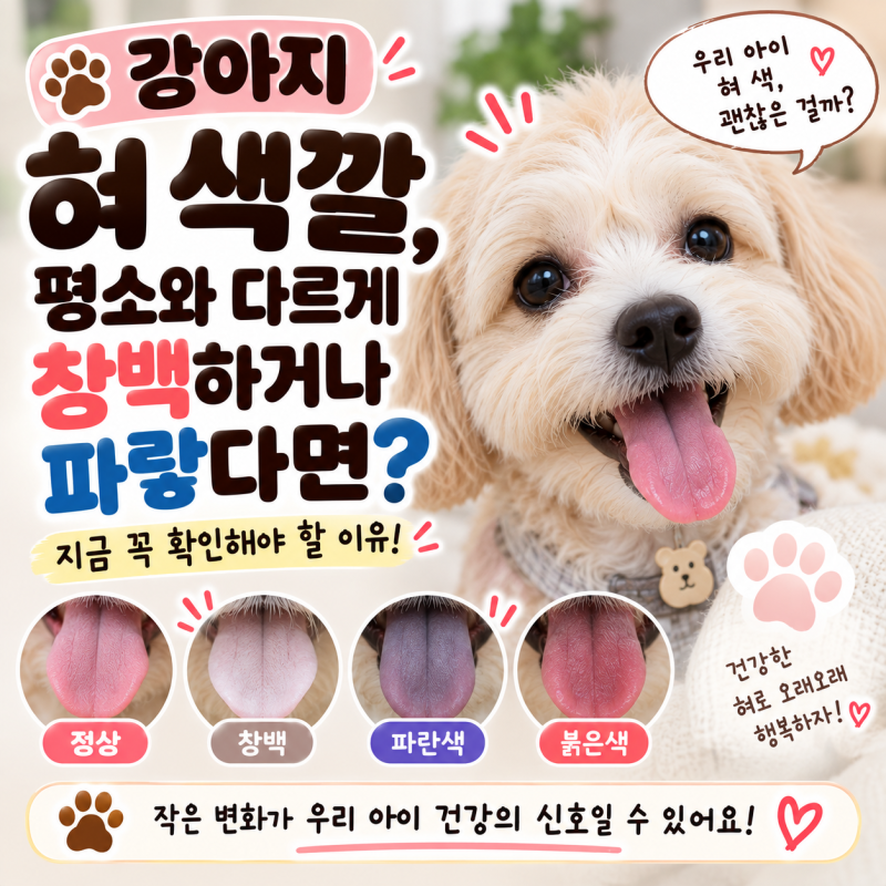 강아지 혀 색깔, 평소와 다르게 창백하거나 파랗다면?