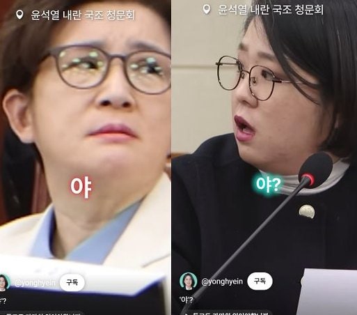 "야" 한마디의 대가…용혜인 청문회, 그날의 희비가 뒤바뀌었다