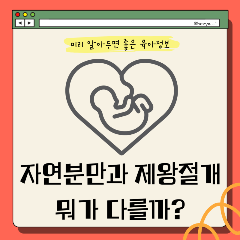 자연분만vs제왕절개 차이 총정리 | 출산 방법과 장단점, 회복까지 알아보기