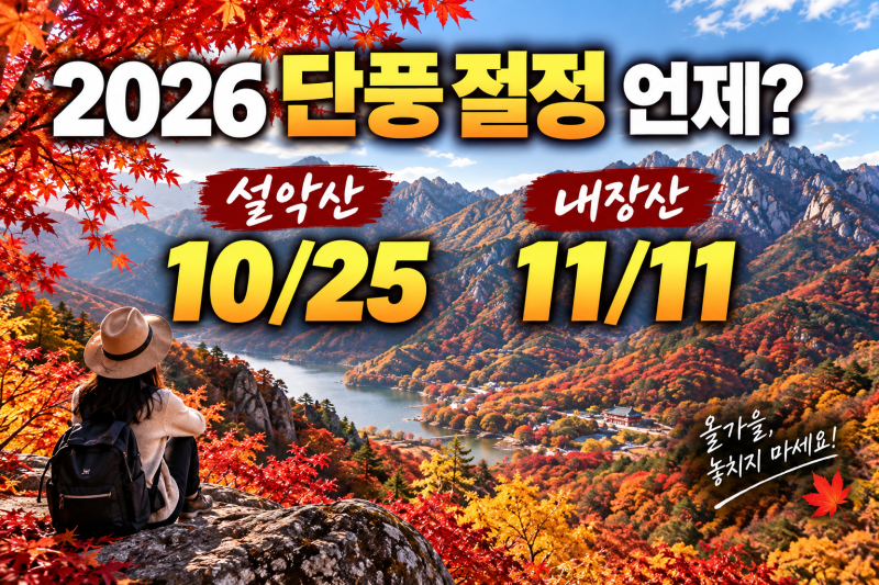 2026 단풍 시기 총정리｜설악산 10월 25일·내장산 11월 11일 절정 예상