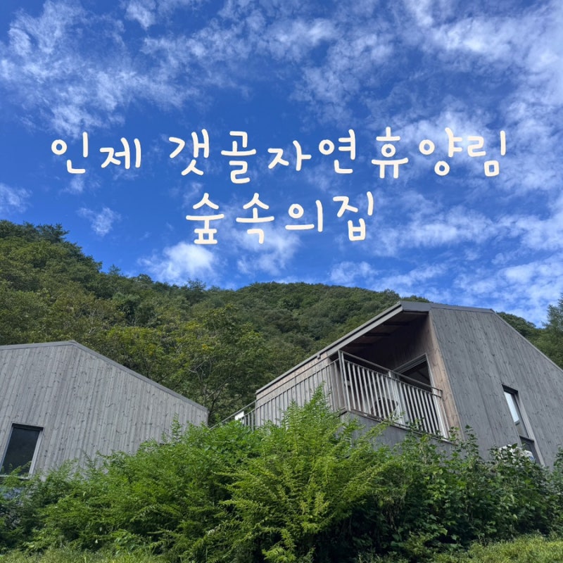 인제 갯골자연휴양림 숲속의집 후기｜아기랑 주말 1박 계곡·별구경·예약방법