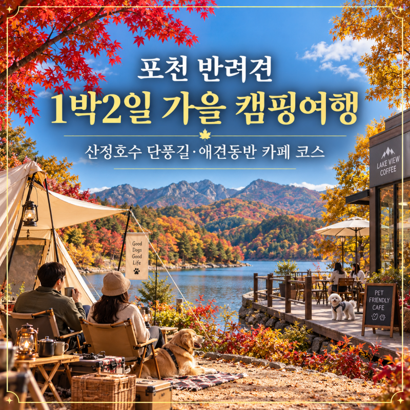 2026 포천 반려견 1박2일 가을 캠핑여행｜산정호수 단풍길·애견동반 카페 코스