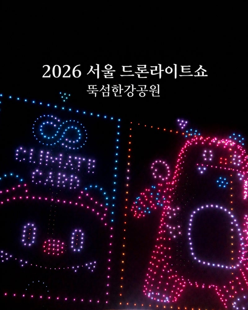 서울 뚝섬한강공원 드론쇼 축제 일정 명당자리 위치 꿀팁 준비물
