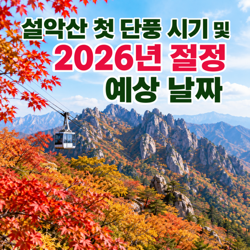 [2026년 가을 단풍] 설악산 첫 단풍 시기 및 2026년 절정 예상 날짜 완벽 정리