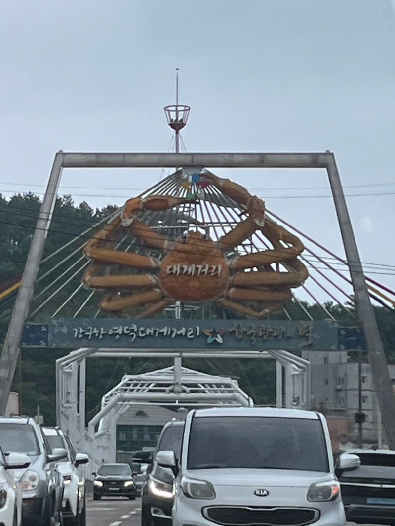 영덕 강구항 대게 홍게 맛집, 제철 가격 시세 주차까지 총정리