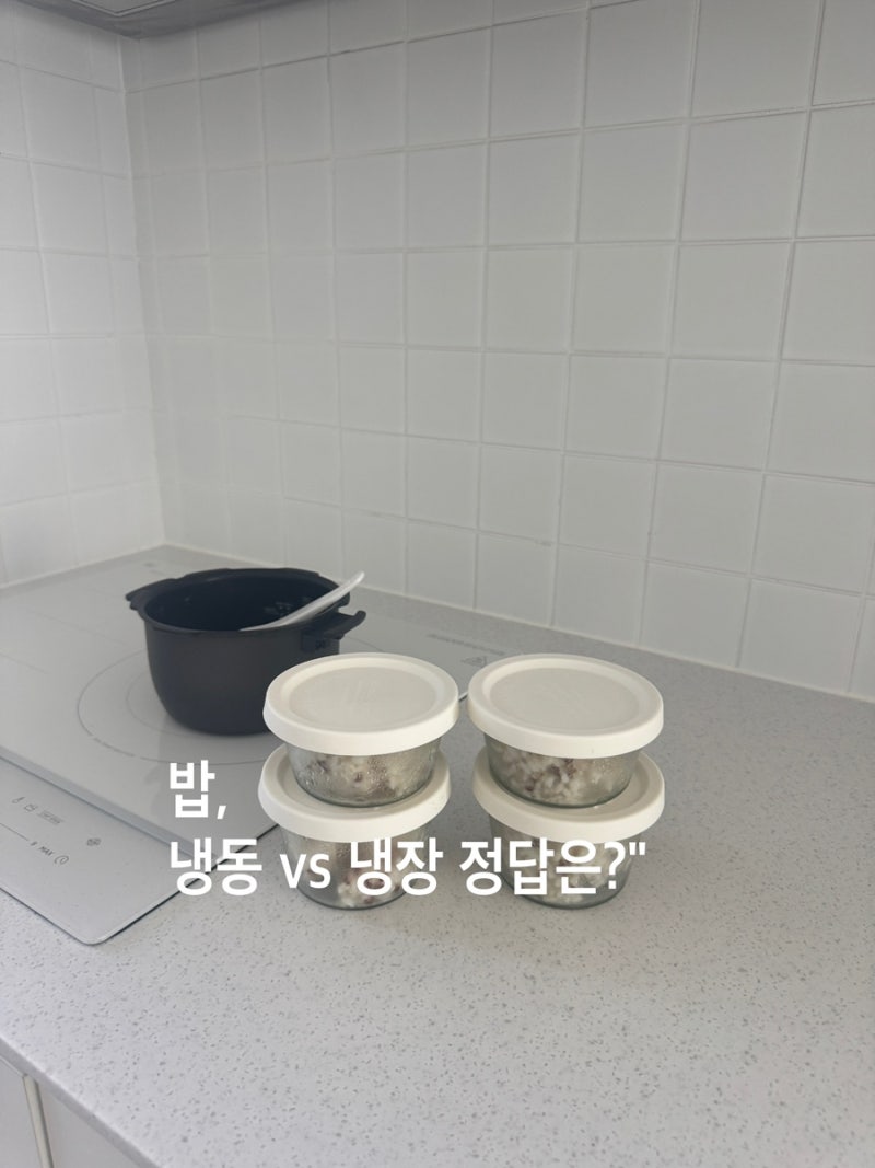 남은 밥 냉동 보관 vs 냉장 보관 정리 밥 보관법